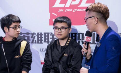 bin娱乐场,奢华体验与精彩纷呈的娱乐盛宴