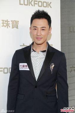 林峰娱乐,揭秘明星幕后故事,带你走进璀璨星光世界