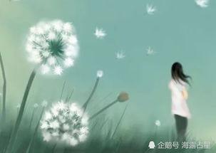 当初应该比你 创作背景,揭秘“当初应该比你”的创作灵感与情感历程